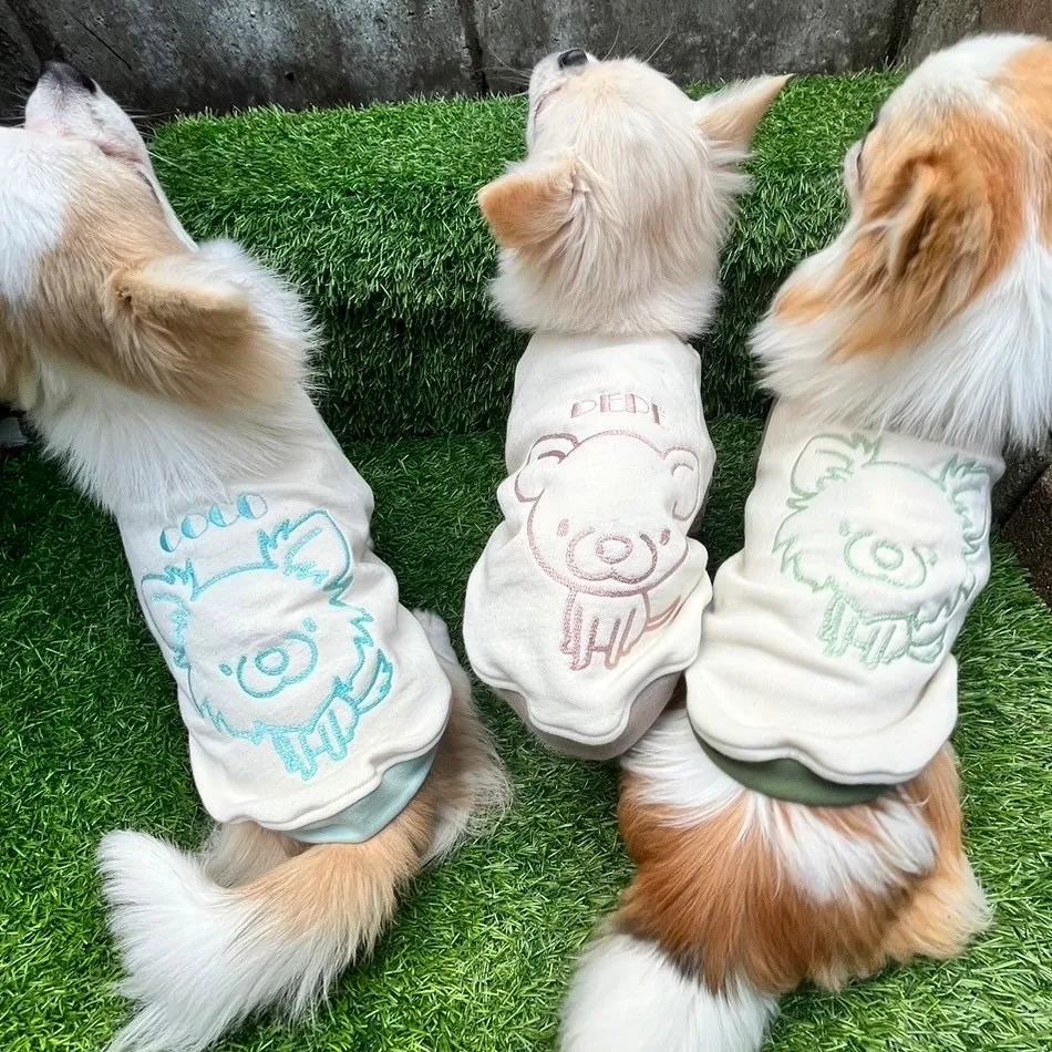 かわいい服を着たかわいいチワワの写真